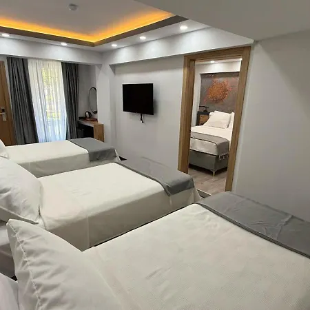 Hotel Zeus *
